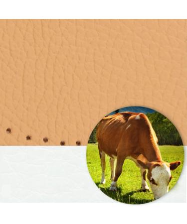 Shop Ipetboom Leather Half Insoles for Women - Yellow Forefoot Inserts for Heels Flats & Boots | Size L - Comfort & Style - Buy Online on GoSupps.com