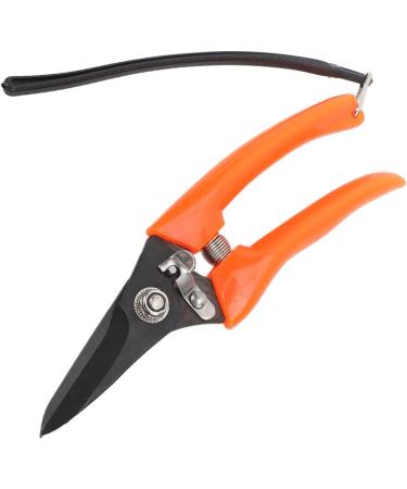 Buy High Carbon Stainless Steel Hoof Shears for Goats | Safe & Durable - International Shipping - Buy Online on GoSupps.com