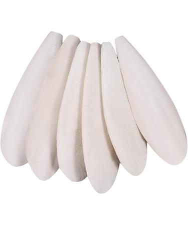 Natural Sepia Bowls for Turtles Birds & Reptiles - 6 Pack (10-12cm) | Calcium & Mineral Care - Buy Online on GoSupps.com