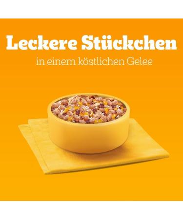 Buy Pedigree Junior Multipack Mixed Selection in Jelly - Wet Dog Food for Young Dogs - 84 x 100g Portion Bags - International Shipping Available - Buy Online on GoSupps.com