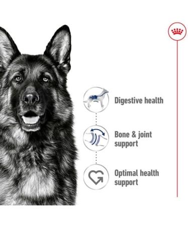 Royal Canin Maxi Dry Adult Dog Food 3kg - Buy Online on GoSupps.com