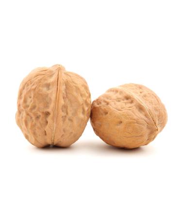 Buy Premium 10kg Walnuts - New Harvest 2022 from Chile | 34-36mm Chandler Variety | 100% Natural Vegan Gluten-Free Extra Large Thin Shell - Buy Online on GoSupps.com