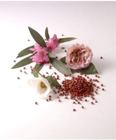 Mademoiselle Ricci by Nina Ricci for Women 2.7 oz Eau de Parfum Spray Floral Woody Musk 2.7 Fl Oz (Pack of 1) - Buy Online on GoSupps.com