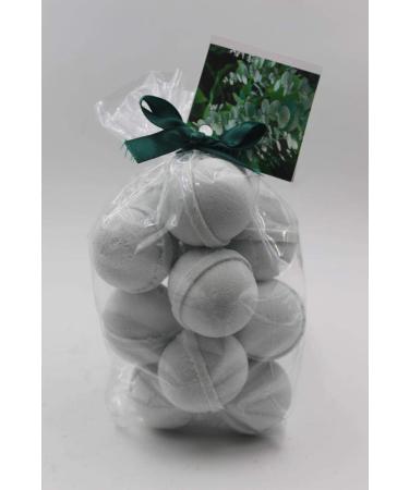 Spa Pure EUCALYPTUS & SPEARMINT - 14 Bath Bomb Fizzies - 14 per bag - USA MADE  SHEA  MANGO AND COCOA BUTTER  Ultra Moisturizing - Great for Dry Skin