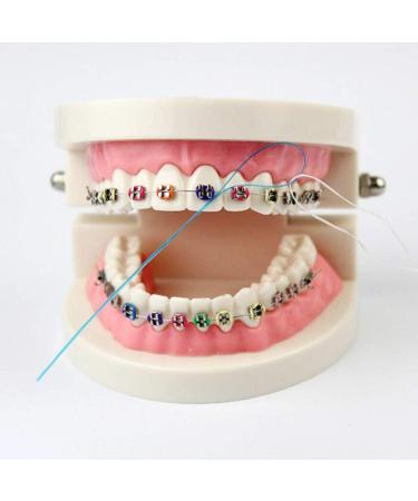 Buy EasyHonor Dental Floss Threaders for Braces & Implants - 210 Count (Pack of 6) - Best International Shipping - Buy Online on GoSupps.com