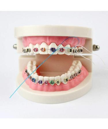 EasyHonor Dental Floss Threaders for Braces, Bridges, and Implants - Green (6 Pack) 210 Count - Buy Online on GoSupps.com