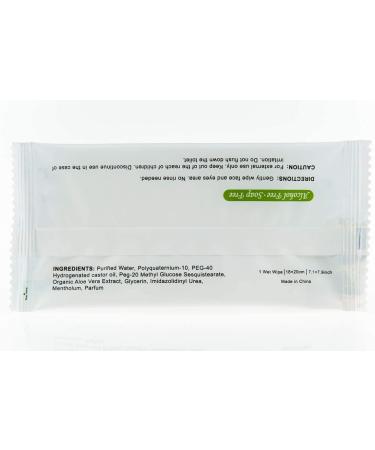 TRAVELWELL Cleanings & Make-Up Remover Wipes 500 Count - Natural Aloe, Alcohol-Free, Individually Wrapped Travel Packs - Elderly Bathing, Hotel Toiletries, Landscape Series - Buy Online on GoSupps.com