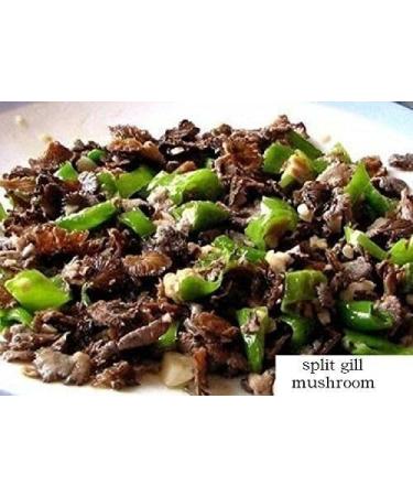 WENXUANSU:3 Pound (1362 grams) Split Gill Mushroom Schizophyllumcommuneh dried Grade A - Buy Online on GoSupps.com