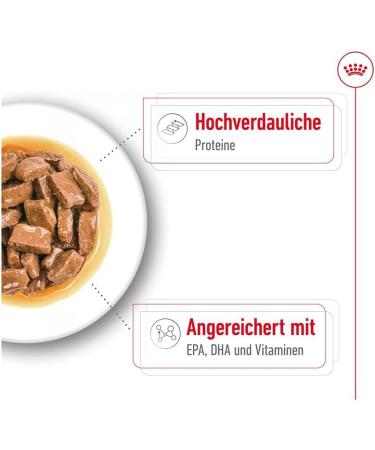 Royal Canin Maxi Ageing 8+ | Pack of 4 | 4 x 10 x 140 g | Complete Food for Dogs | for Large Older and Senior Dogs (26 to 44 kg) | From 5 Years - Buy Online on GoSupps.com