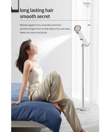 Standing Hair Dryer Portable Negative Ion Hair Dryer Remote Control Intelligent Constant Temperature 5 Speeds Wind 5 Levels of Temperature Double Air Outlet for Travel Curly Hair - Buy Online on GoSupps.com