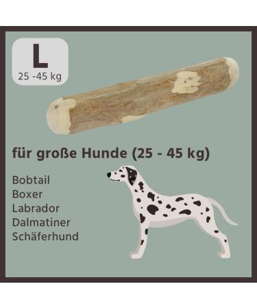 BV Petcare Coffee Wood Chewing Bones - Natural Dog Toy Set (3 Pieces) for Dogs up to 45 kg - Eco-Friendly & Durable - Buy Online on GoSupps.com