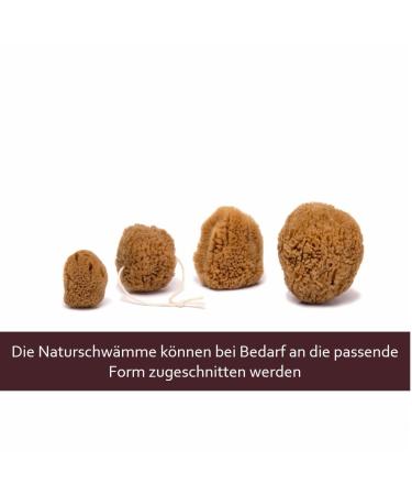 Menstrual Sponges - 4 Unbleached Eco-Friendly Pieces with Needle & Cotton Cord | Alternative to Pads & Tampons | Aristos - Buy Online on GoSupps.com