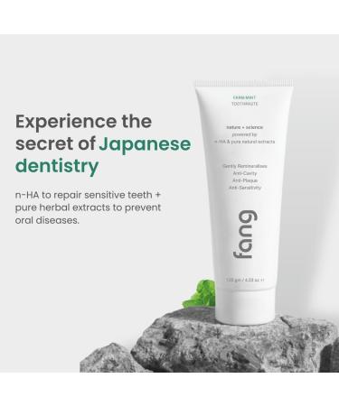 Fang Natural Nano Hydroxyapatite (N-Ha) Farm Mint Toothpaste (2 X 100 gm) | Teeth Whitening Sensitive Oral Care | Active Fresh & Tooth Protection for Adults | Vegan Fluoride Free & Non Toxic - Buy Online on GoSupps.com
