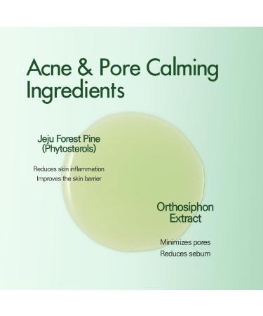 ABEREDE Cicapine Forest Needle Energy Calming & Poreless Serum 1.69 fl oz / 50ml Cica + Pine Extract Soothing Serum Hydrating Pore-Tightening Lightweight Vegan K-Beauty Vegan K-Beauty Skincare - Buy Online on GoSupps.com