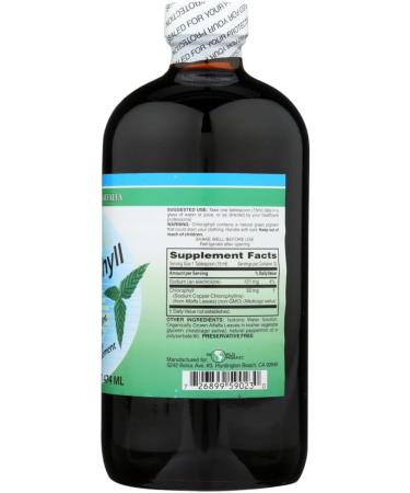 Chlorophyll Liquid-50mg/Mint World Organics 16 oz Liquid by World Organics - Buy Online on GoSupps.com