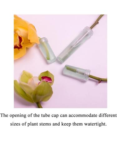 Hahiyo 60Pcs 1.6x0.7 Inch Floral Water Tubes with Silicone Caps - Fresh Flower Arrangement Supplies - Buy Online on GoSupps.com