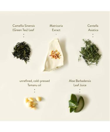 SIORIS Deep In A Barrier Cream 1.69 fl. oz | Organic Vegan Tamanu Oil Skin Repair Cream for Sensitive Skin | Deep Moisturization & Barrier Strengthening - Buy Online on GoSupps.com