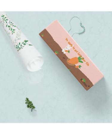 Hanging Vine Birds Wall Decals - Green Plant Leaves Wall Stickers for Bedroom and Living Room Decor - Buy Online on GoSupps.com