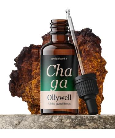 Ollywell Ollywell Chaga - Premium 100% EU - Vitamin B - Medicinal Mushroom - Double Extract 10:1 - 30 ml Tincture - Adaptogen - Go