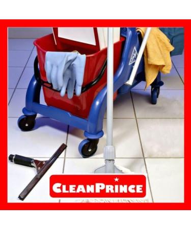 3 x 1 Liter 3 cleanprince Tiles and Stone Detergent 1000 ML Porcelain Stoneware Soap Gloss Gastro Hotel Gastronomy Oil Rubber Gum Abrasion Grease Cleaning Base Unterhaltsreinigung - Buy Online on GoSupps.com