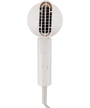 CHEOTIME Negative Ion Hair Dryer Fast Drying Constant Temperature Control Portable Folding Blow Dryer for Home Travel - Buy Online on GoSupps.com