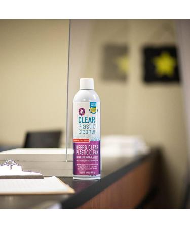 Invisible Glass 91014 19oz Screen & Plastic Cleaner - Anti-Fog & Anti-Static Polish for Touchscreens, Shields, & Electronics | Pack of 1 - Buy Online on GoSupps.com