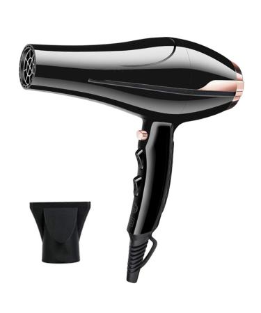 Hair Dryer Professional Hair Dryer 1800W Powerful Fast Blow Dryer Quick Drying with Concentrator 2 Speed 3 Heat Settings Cool Shot Button Fast Drying Time and Low Nois Lightweight for Travel Small