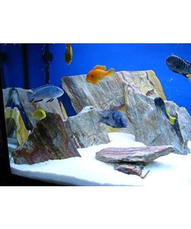Wyskont Slate Stones - 1kg Natural Rainbow Aquarium & Terrarium Decoration | Aquarium Accessories & Aquascaping Stones - Buy Online on GoSupps.com