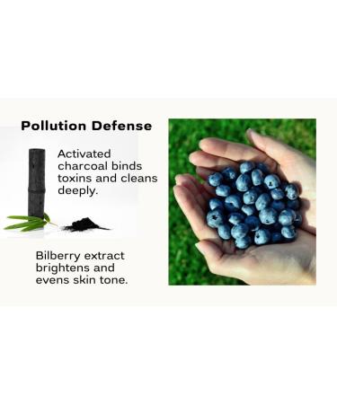 Purifying Black Facewash with Activated Charcoal | Acne-Prone Skin Cleanser | Pollution Defense & Makeup Removal | Sensitive Skin Formula | 8 oz - Buy Online on GoSupps.com