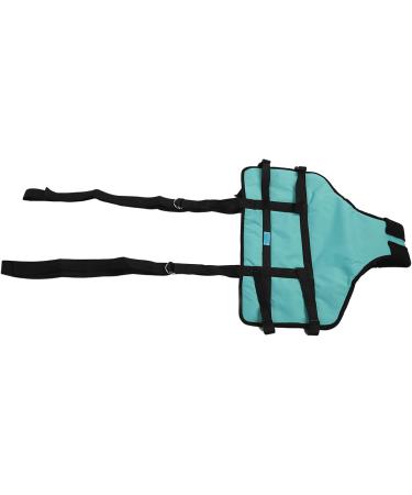 Patient Belts & Standing Aids | 4-Point Support Dirt-Repellent Toilet Solutions for Manual Lifting - Buy Online on GoSupps.com