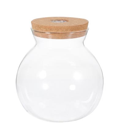 TOBBOMEY Landscape Bottle Micro System Jars with Lid Aquariums Kit for Fish for White High Borosilicate Glass 16.00X15.00X15.00CM