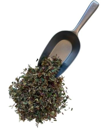 Red Clover Flower Herbal Tea (Trifolium Pratense) - 100g - Buy Online on GoSupps.com