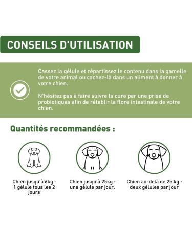 APHICARE - Intestinal hygiene - Intestinal comfort - 20 capsules - Brewer's yeast - 3 plant extracts - Food supplement - Dog and puppy - Made in France - Buy Online on GoSupps.com