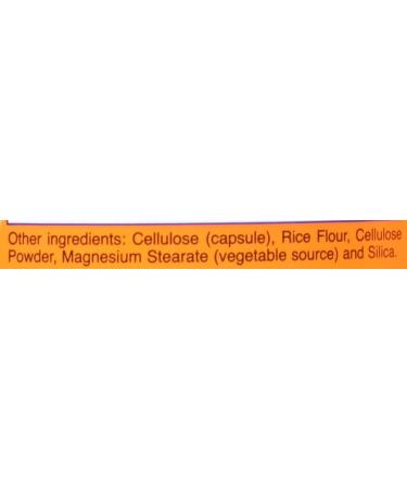 Now Foods Quercetin with Bromelain 240 Vegetable Capsule (2 Pack) - Natural Allergy Support - Buy Online on GoSupps.com