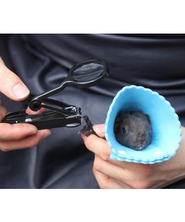 HAICHEN TEC Guinea Pig Nail Clippers with Magnifying Glass - Stainless Steel Claw Toenail Trimmer for Small Animals - Pet Grooming Supplies - Buy Online on GoSupps.com