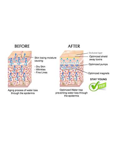 Maximum Strength Anti-Aging Hydrating Mist for Hair, Face & Skin | Vitamin C Toner + Hyaluronic Acid Serum by Stanford Ph.D Doctor | Multi-Bond Coconut Oil, Sunflower & Sea Buckthorn - Buy Online on GoSupps.com