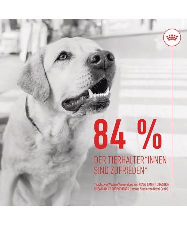 ROYAL CANIN Digestion Chews Adult Supplements Double Pack 2 x 160 g Supplementary Feed for Adult Dogs to Support Normal Digestion and Intestinal Flora - Buy Online on GoSupps.com