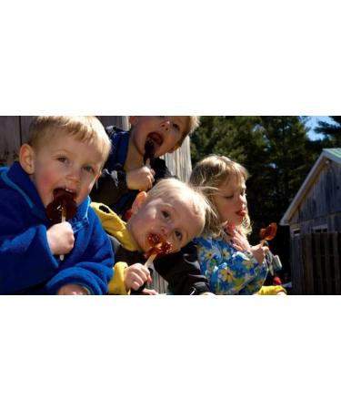 Les BONBONS Richard Pure Syrup Maple Lollipop 20g/Piece-Bubdle Package (54 Pieces (Original Box Package)) 54 count (Pack of 1) - Buy Online on GoSupps.com