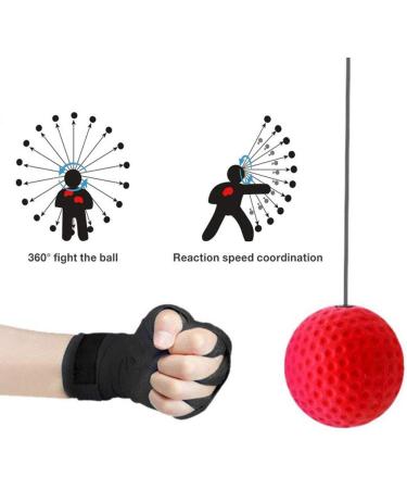 Acici Boxing Reflex Ball Set- 3 Difficulty Levels, Headband Included- Boxing Equipment for Kids & Adults - Buy Online on GoSupps.com