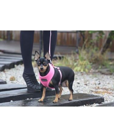 Puppia Navy Two-Tone Lead Puppia Two Tone Lead M Royal Blue - Buy Online on GoSupps.com