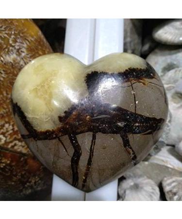 CIMWJOPS NaturaCrystal Polished Heart 1pcs - Buy Online on GoSupps.com