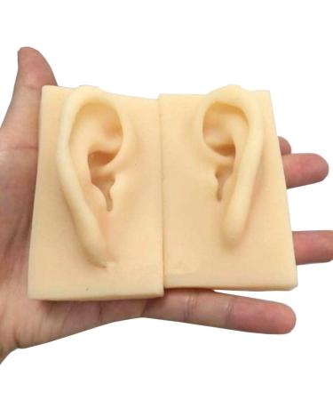 ERNZI 1:1 Life Size Human Ear Left & Right Ear Model Acupuncture Model Educational - 9 X 5 X7 cm(1 Pair)