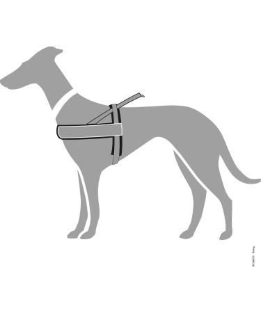 HUNTER RACING Norwegian Harness - ML 60-75 cm Grey/Black | International Shipping Available - Buy Online on GoSupps.com
