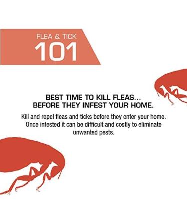 PetAction Plus For Cats - 3 Doses (0.017 fl oz Each) | Flea & Tick Prevention - Buy Online on GoSupps.com
