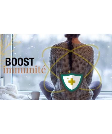 Miel de Melipona Mexicain 300g Miel Rare d Abeilles Sans Dard 100% Pur et Brut R colte Artisanale - Buy Online on GoSupps.com