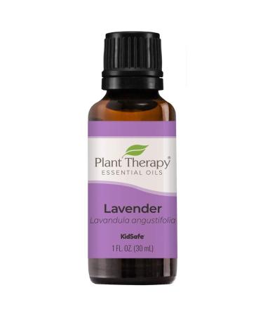 Plant Therapy Lavender Essential Oil 100% Pure, Undiluted, Natural Aromatherapy, Therapeutic Grade 30 mL (1 oz) 1 Fl Oz