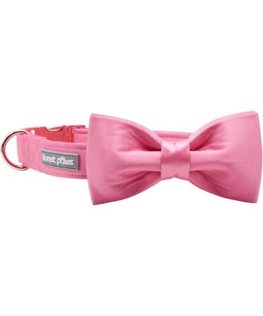Lionet Paw's Comfortable Pink Silk Dog Collar with Removable Fly for Medium Dogs (34-55cm) - Perfect for Stylish Pet Owners - International Shipping Available - Buy Online on GoSupps.com
