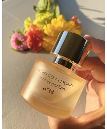 Mixbar Whipped Almond Eau de Parfum - 1.7 fl oz | Rich Almond Scent for Women | Long-Lasting and Elegant Fragrance - Buy Online on GoSupps.com