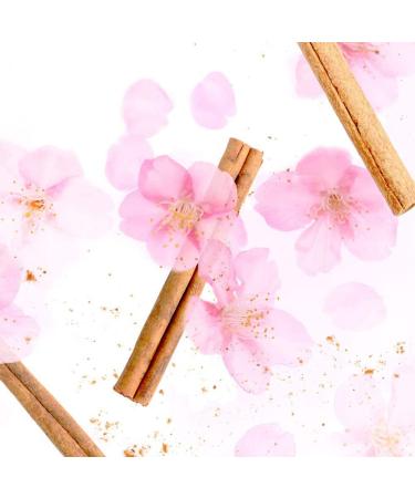 Wanomi Shittori Rice Hair Treatment - 350ml | Non-Silicon Formula - Buy Online on GoSupps.com