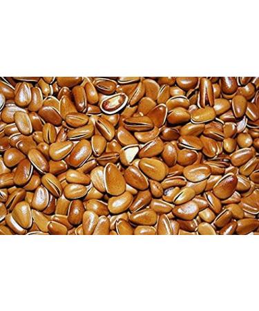 4 Pound (1816 grams) Shelled roasted pine nuts Grade A from Northeast China.